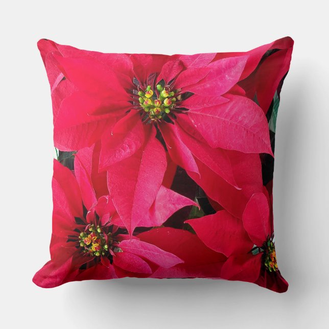 Cojín Decorativo Poinsettias rojas (Anverso)