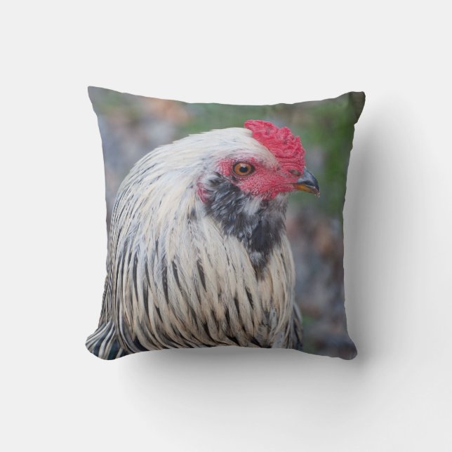 Cojín Decorativo ¡Pollo de cerca y personal! (Anverso)