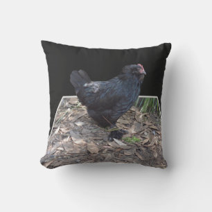 Cojín Decorativo Pollo negro fluffy,