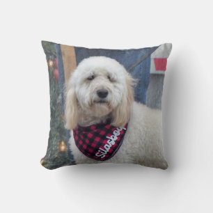 Cojín Decorativo Poodle