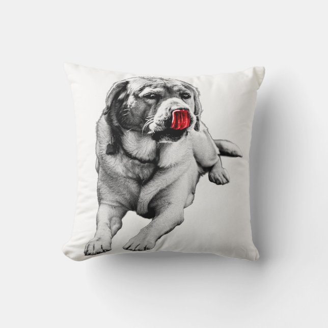 Cojín Decorativo Pop de rojo - Diversión acogedora (Anverso)