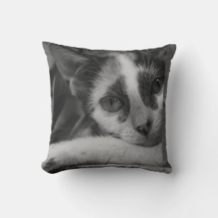 Cojín Decorativo Por favor gatita
