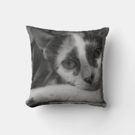 Cojín Decorativo Por favor Kitty