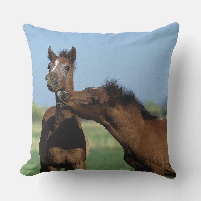 Cojín Decorativo Potros que juegan 2 (Anverso)