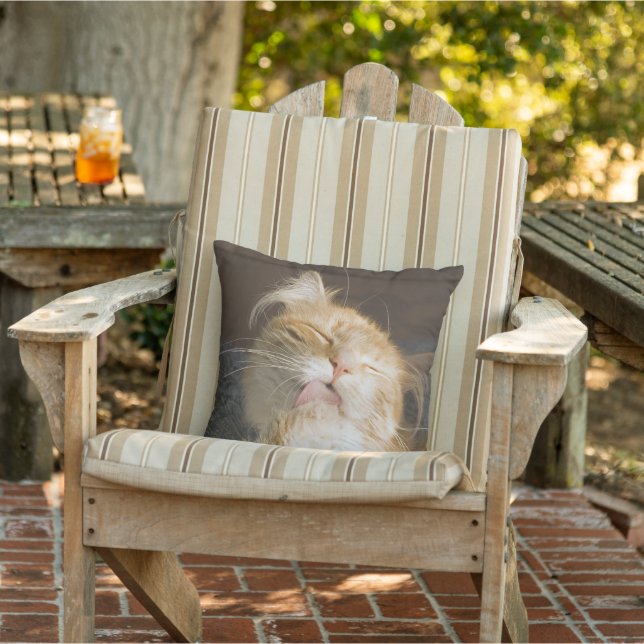 Cojín Decorativo Preening Maine Coon Close Up Photograph (Silla)