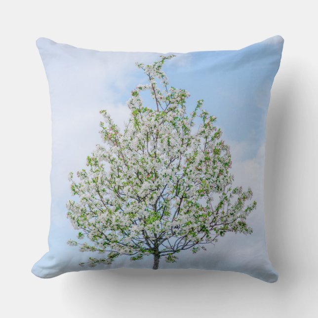 Cojín Decorativo Primavera - Feliz Pascua (Anverso)