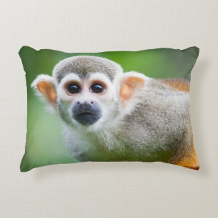 Cojín Decorativo Primer de un mono de ardilla común