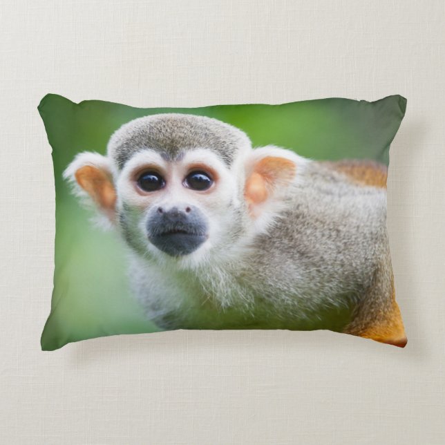 Cojín Decorativo Primer de un mono de ardilla común (Anverso)