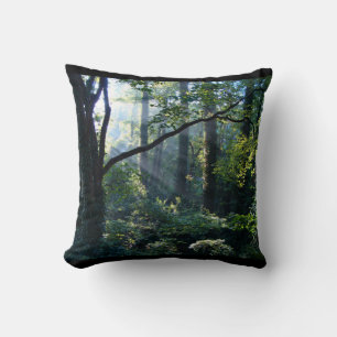 Cojín Decorativo Primer pilar luminoso