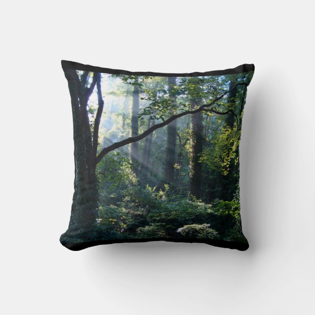 Cojín Decorativo Primer pilar luminoso (Anverso)