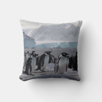 Procesamiento de pingüinos - Vida silvestre antárt