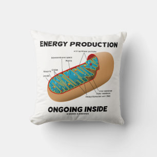 Cojín Decorativo Producción de Energía en Curso Dentro de la Mitoco