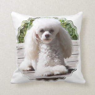 Cojín Decorativo Producto del personalizar