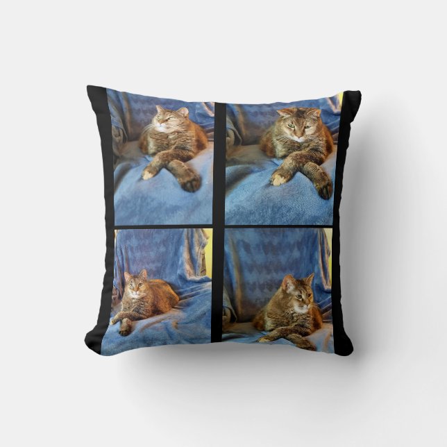 COJÍN DECORATIVO PROFUNDO EN EL PENSAMIENTO KITTY (Anverso)