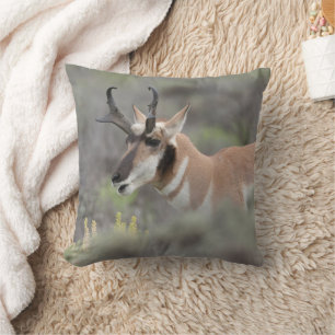 Cojín Decorativo Pronghorn Antelope Buck Grandes tetones