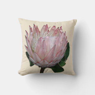 Cojín Decorativo Protea Flor Helado