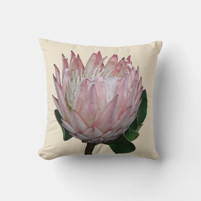 Cojín Decorativo Protea Flor Helado (Anverso)