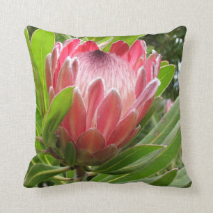 Cojín Decorativo Protea rojo