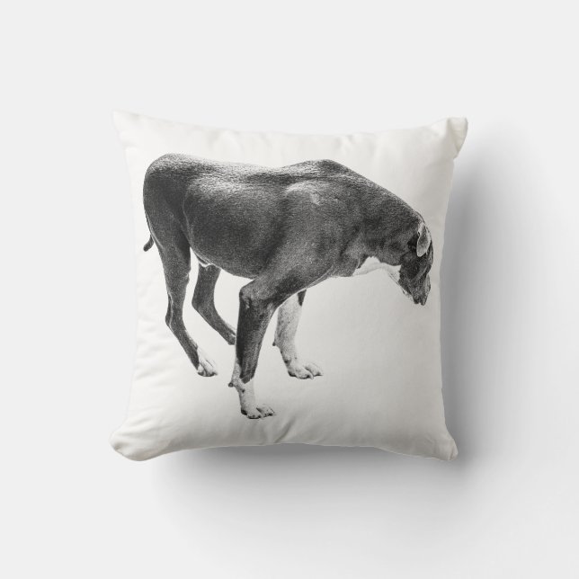 Cojín Decorativo Protector Rústico de Caída (Anverso)