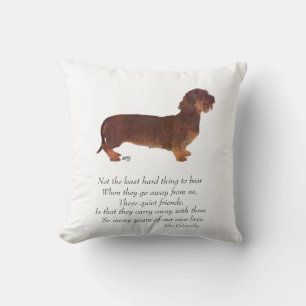 Cojín Decorativo Puente del Arcoíris del Dachshund