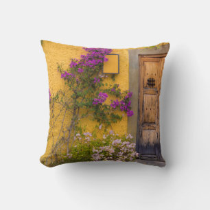 Cojín Decorativo Puerta de madera