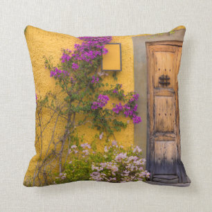 Cojín Decorativo Puerta de madera