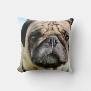 Cojín Decorativo Pug