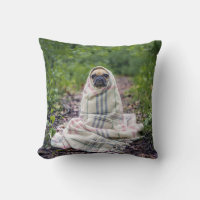 Pug en una manta