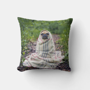 Cojín Decorativo Pug en una manta
