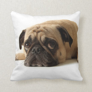 Cojín Decorativo Pug triste