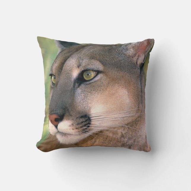 Cojín Decorativo Puma, California (Anverso)