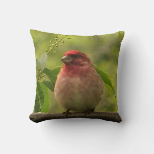 Cojín Decorativo Purple Finch