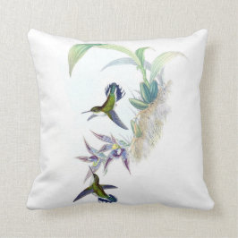 Cojín Decorativo Púrpura del verde del ilustracion del colibrí del