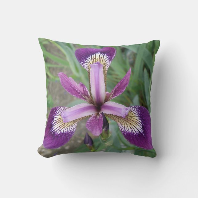 Cojín Decorativo Púrpura Iris Pillow (Anverso)