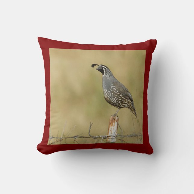 Cojín Decorativo Quail American MoJo Pillows (Anverso)
