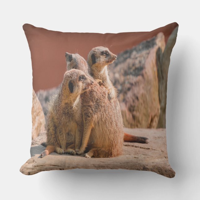 Cojín Decorativo ¿Qué Es Ese Meerkats? (Anverso)