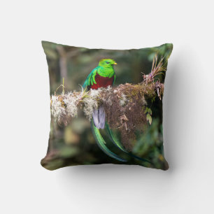 Cojín Decorativo Quetzal Resplandeciente en el Bosque Nuboso