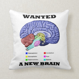 Cojín Decorativo Quiso un nuevo cerebro (la actitud anatómica del