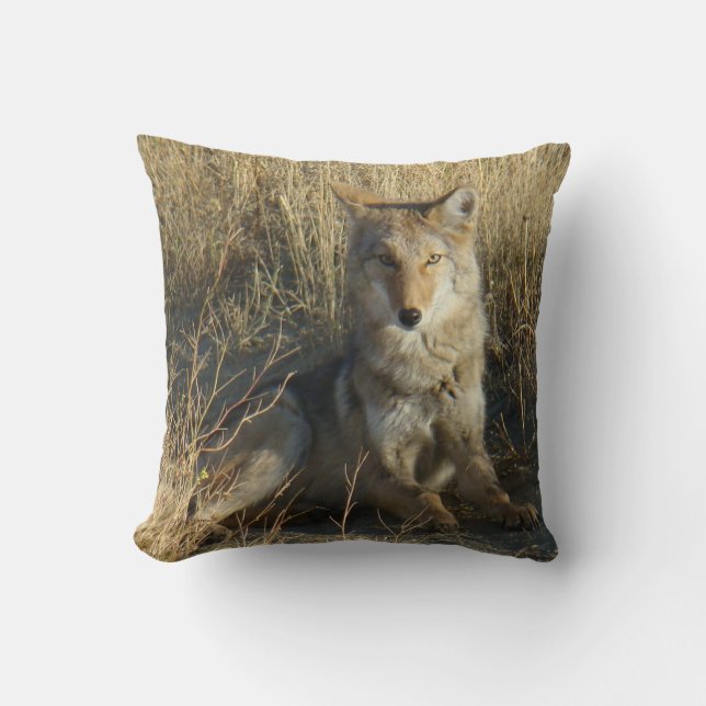 Cojín Decorativo R15 Coyote Acostado (Anverso)
