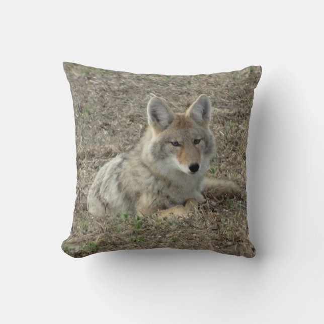 Cojín Decorativo R22 Coyote Acostado (Anverso)