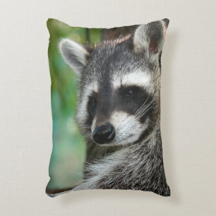 Cojín Decorativo Raccoon 001