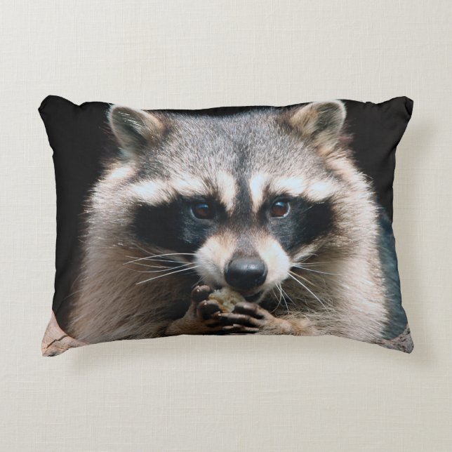 Cojín Decorativo Raccoon 004 (Anverso)