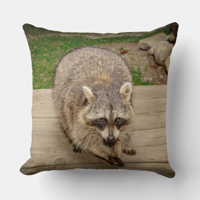 Cojín Decorativo Raccoon con chip (Anverso)