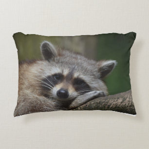 Cojín Decorativo Raccoon en reposo