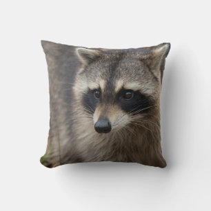 Cojín Decorativo Raccoon, Procyon lotor, Florida