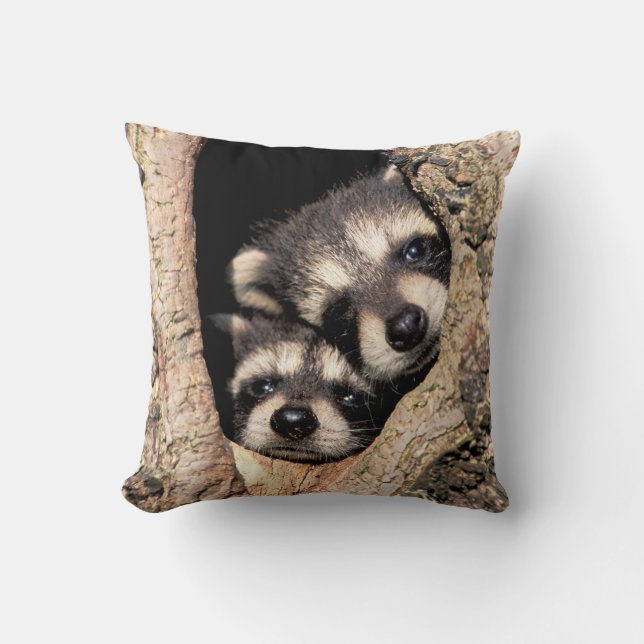 Cojín Decorativo Raccoons Bebé buscando fuera del árbol (Anverso)