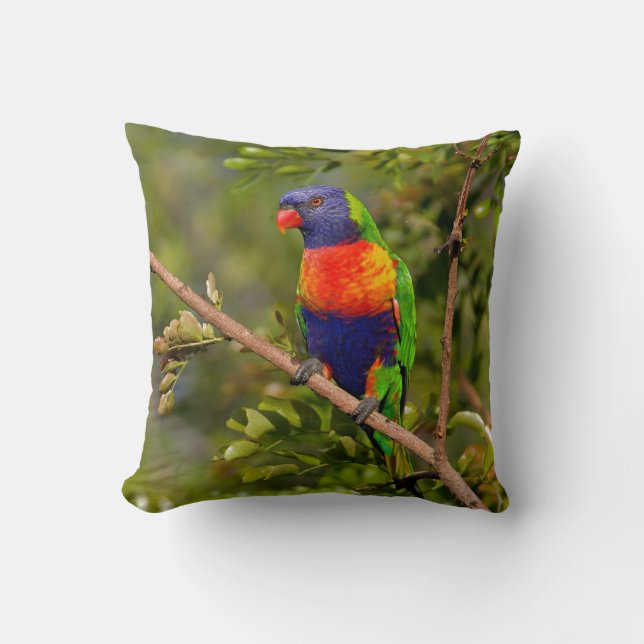 Cojín Decorativo Rainbow Lorikeet (Anverso)