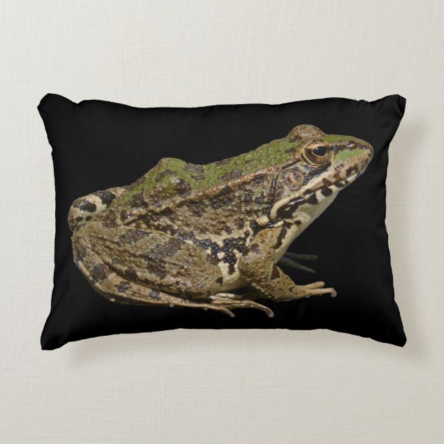 Cojín Decorativo Rana (Anverso)