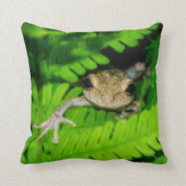 Cojín Decorativo Rana arbórea