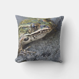 Cojín Decorativo rana leopardo del norte, Isla transparente,